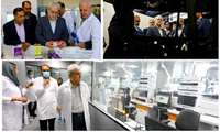 Visiting Made in Iran the achievements; Sattari: The ecological culture of technology and innovation is developing and promoting with visible growth